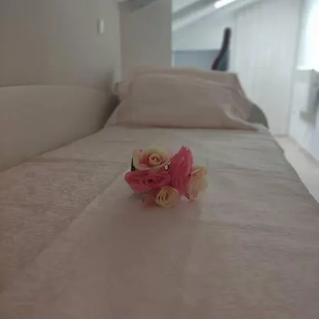 Bird View Carlissima Трогір