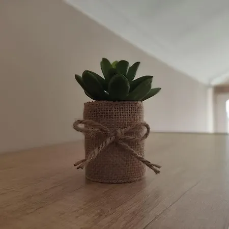 Апартаменти Bird View Carlissima Трогір