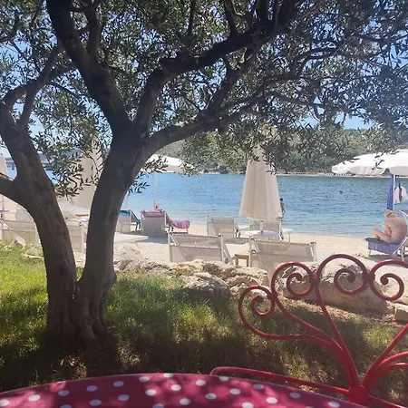 Bird View Carlissima Daire