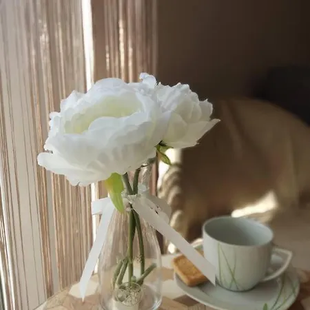 Daire Bird View Carlissima *