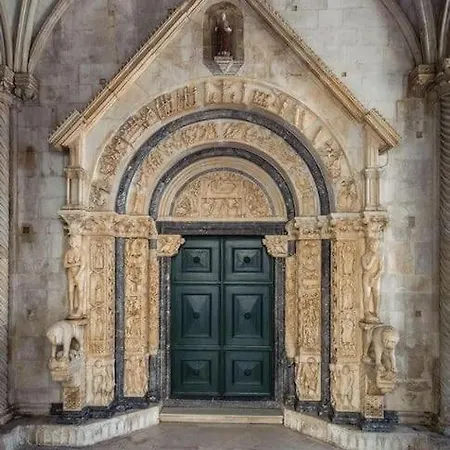 Bird View Carlissima