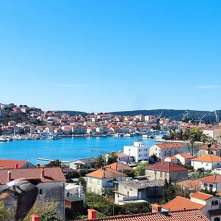 Bird View Carlissima *