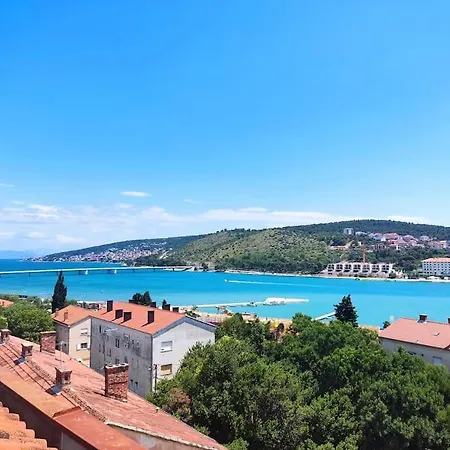 Bird View Carlissima *