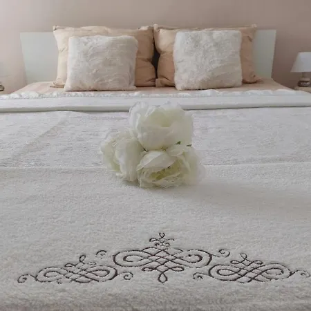 Bird View Carlissima *