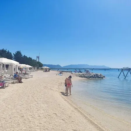 Bird View Carlissima