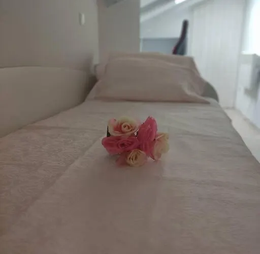 Bird View Carlissima Трогир