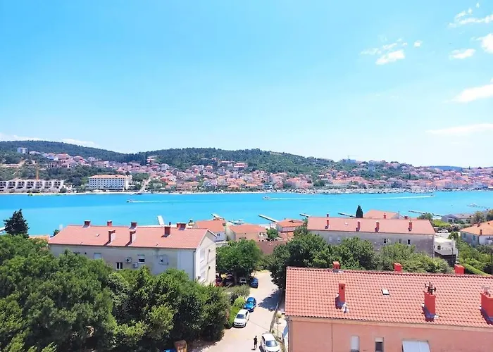 Bird View Carlissima *