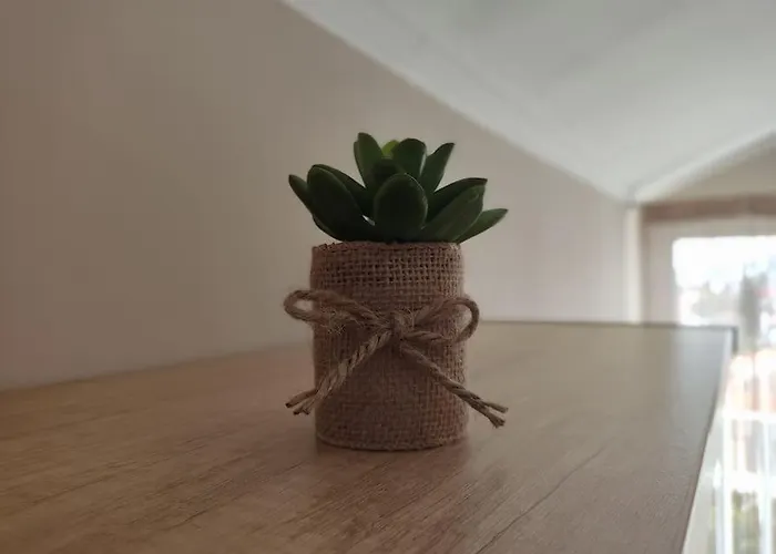 Апартаменты Bird View Carlissima Трогир