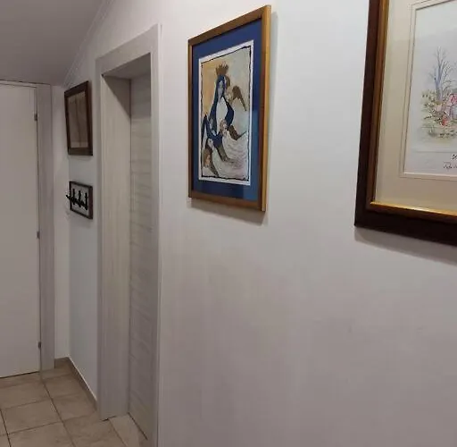 Bird View Carlissima