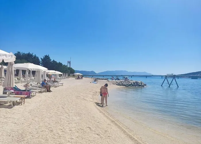 Bird View Carlissima