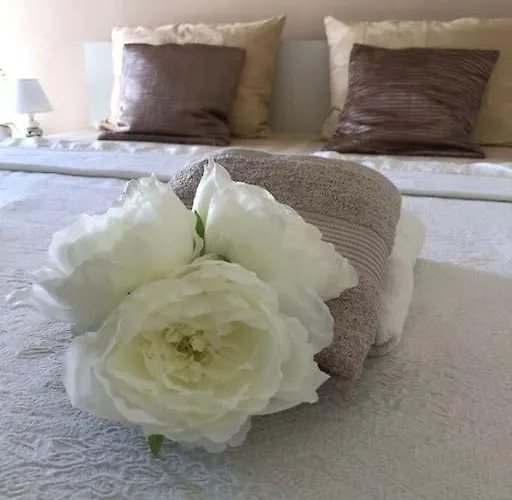 Апартаменты Bird View Carlissima Трогир