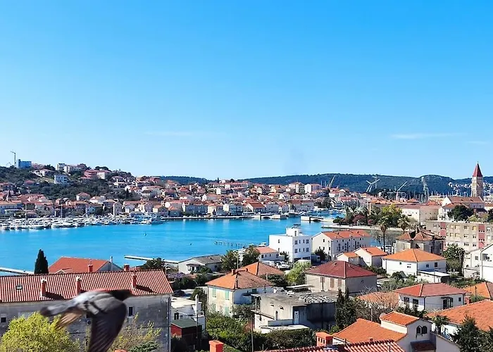 Bird View Carlissima *