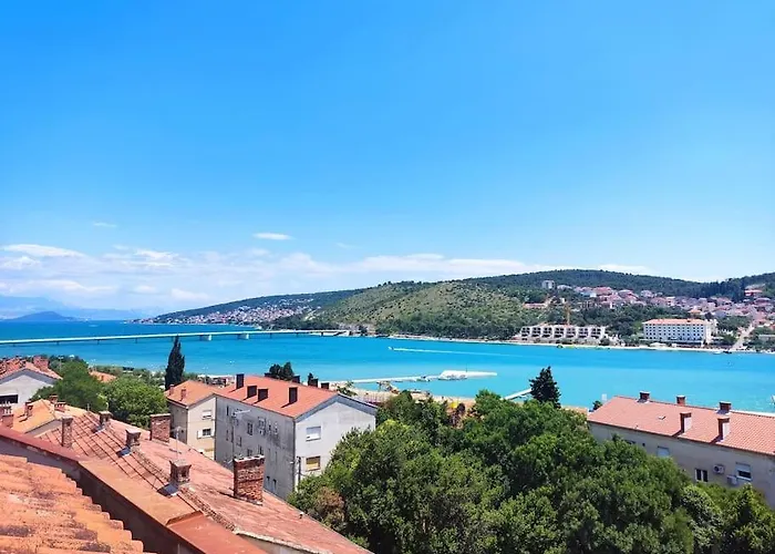 Bird View Carlissima *